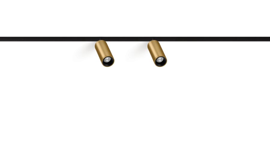 Fit 20 48V Double, Auriu