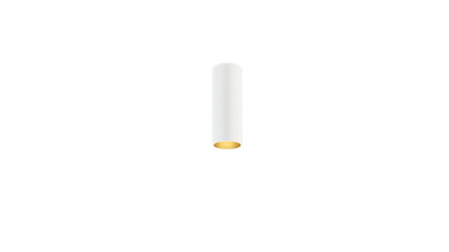 Scope 21 Surface, Alb-auriu
