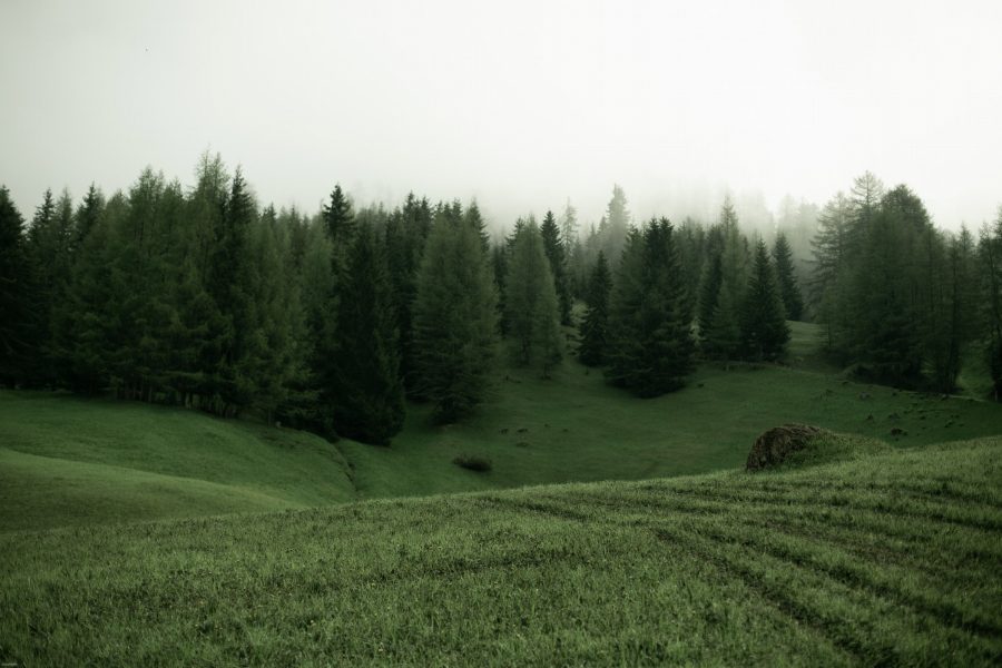 Кухня PURITY